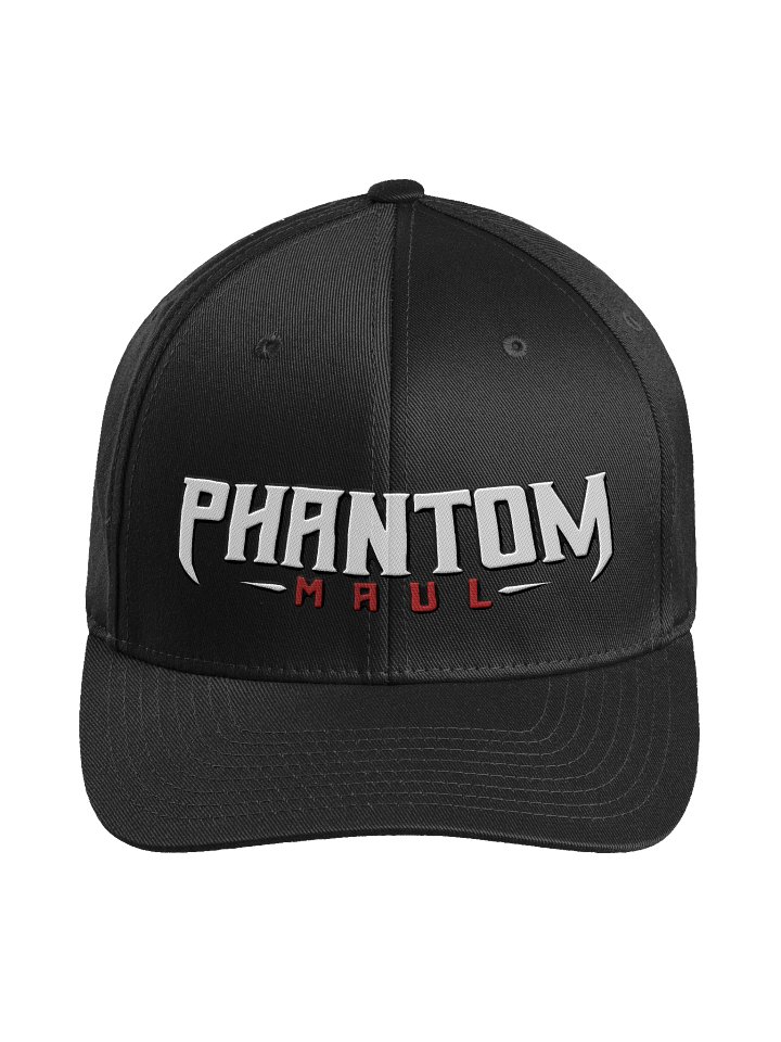 New Logo Fitted Hat White product image (3)