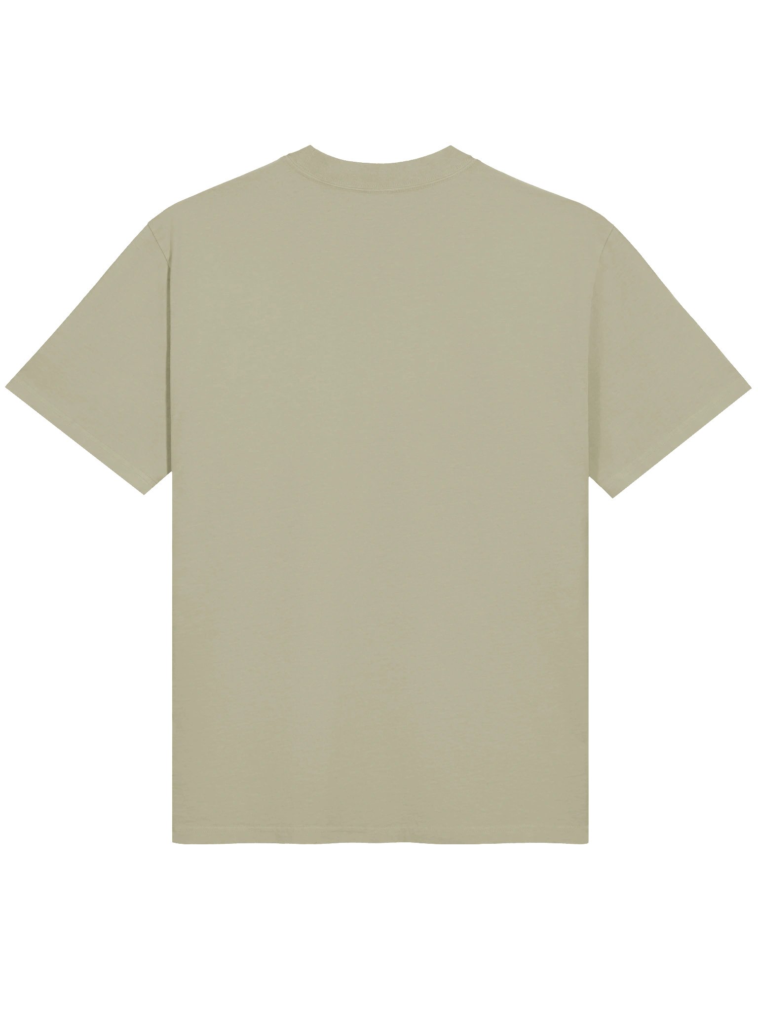 Feline Street Style Revolution T-Shirt product image (2)