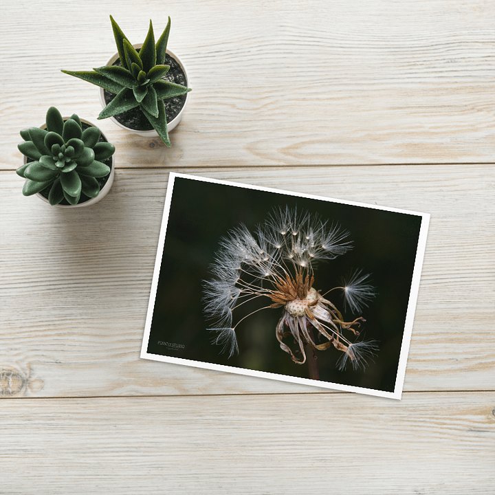 Flock of Wishes Greeting Card product image (1)