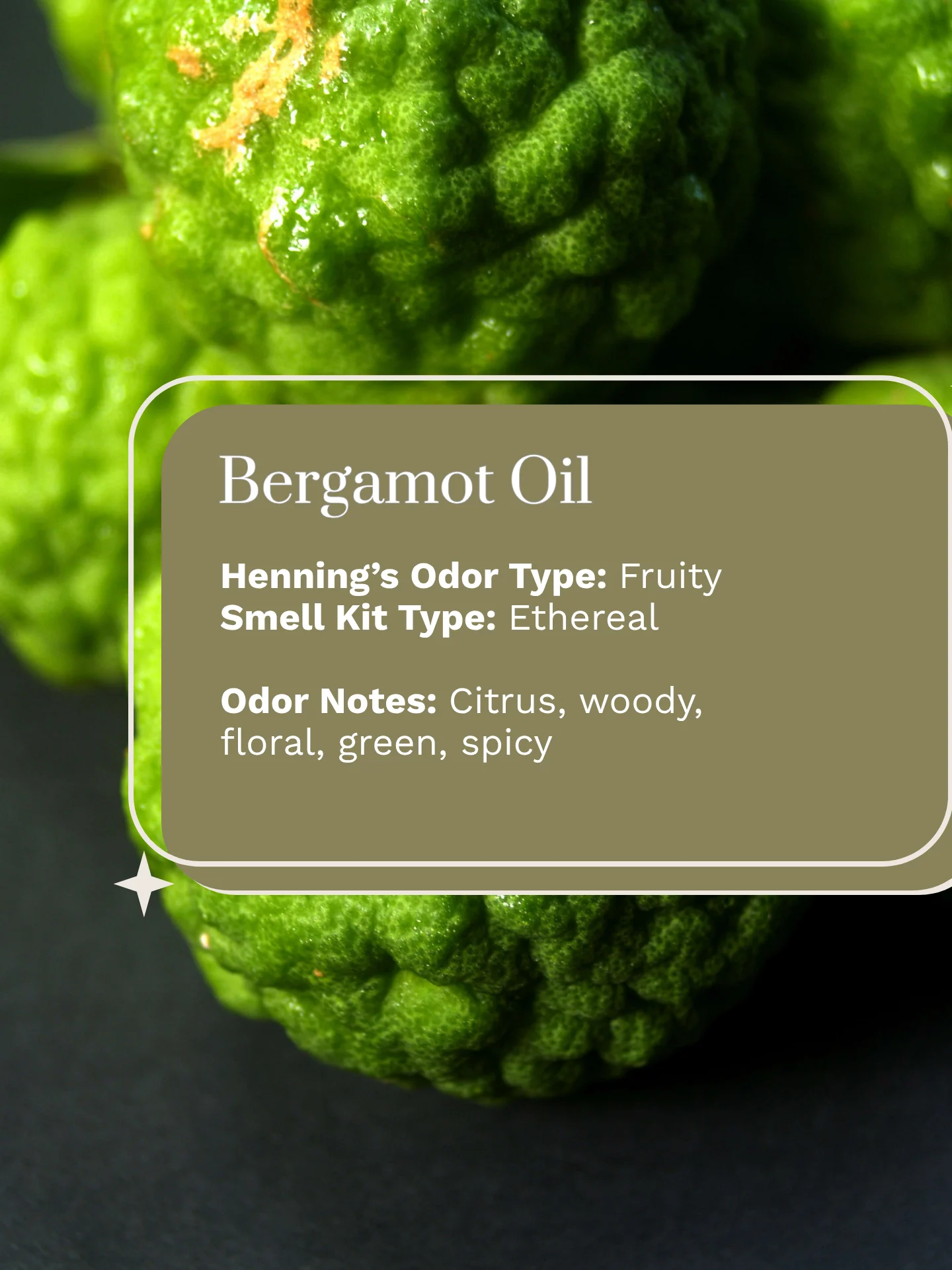Olfaria Smell Training Kit | Set 5 | 5 Single-Note Essential Oils | Olfactory Training / Smell Loss product image (3)