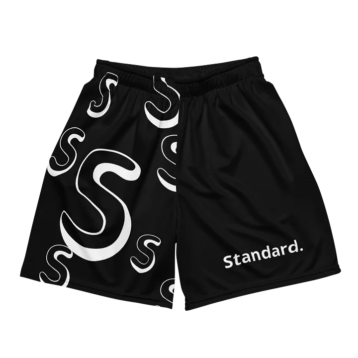 Summer Standard Mesh Shorts product image (1)