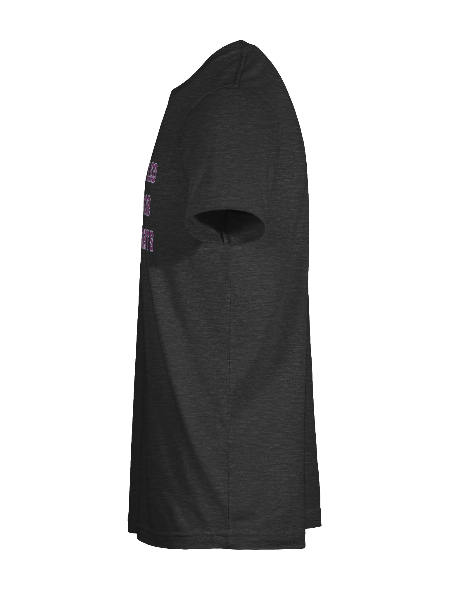 Disgruntled Toronto Lesbian product image (9)