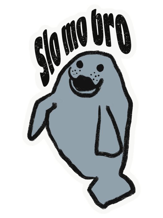 Slo-mo Bro Decal product image (1)