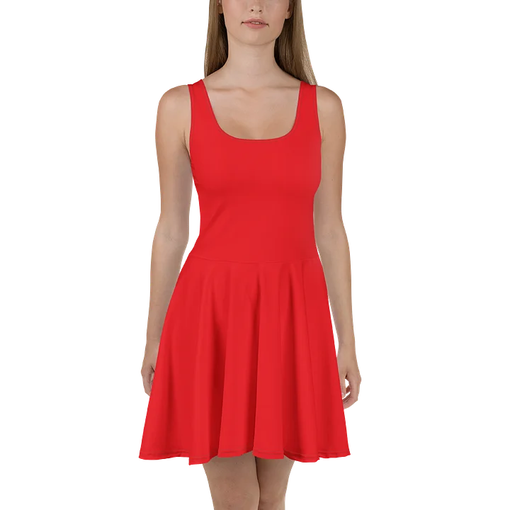 Soa's Crimson Canvas Skater Dress product image (2)