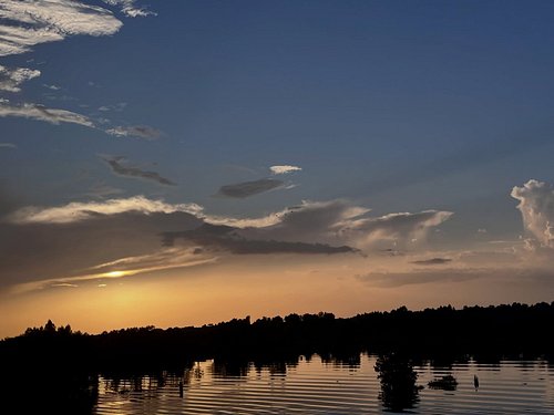 Over the bayou