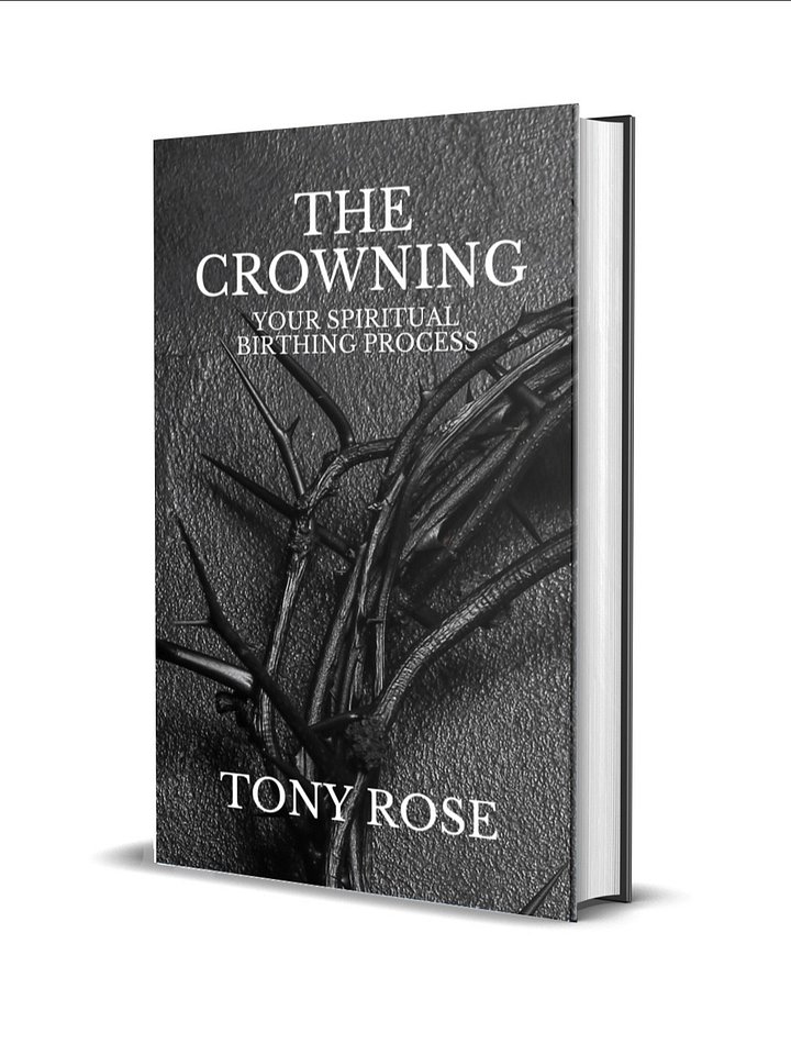 The Crowning: Your Spiritual Birthing Process - eBook product image (1)