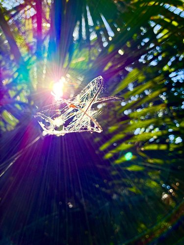 With everything going on in life, I think it’s important to completely detach from the things that are stressing you out, tou...
