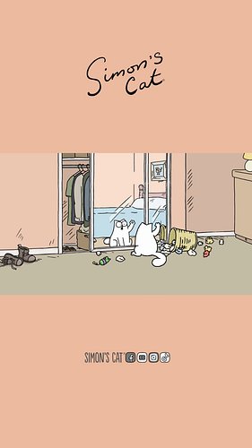 When cats discover their reflection...