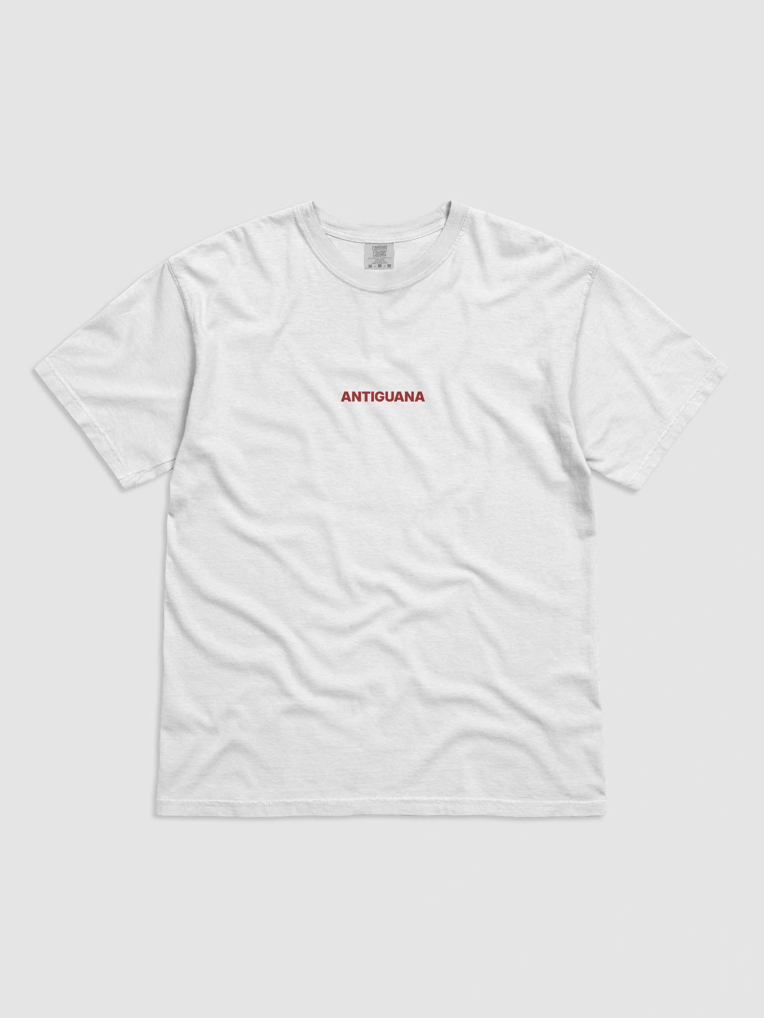 ANTIGUANA Tee product image (1)