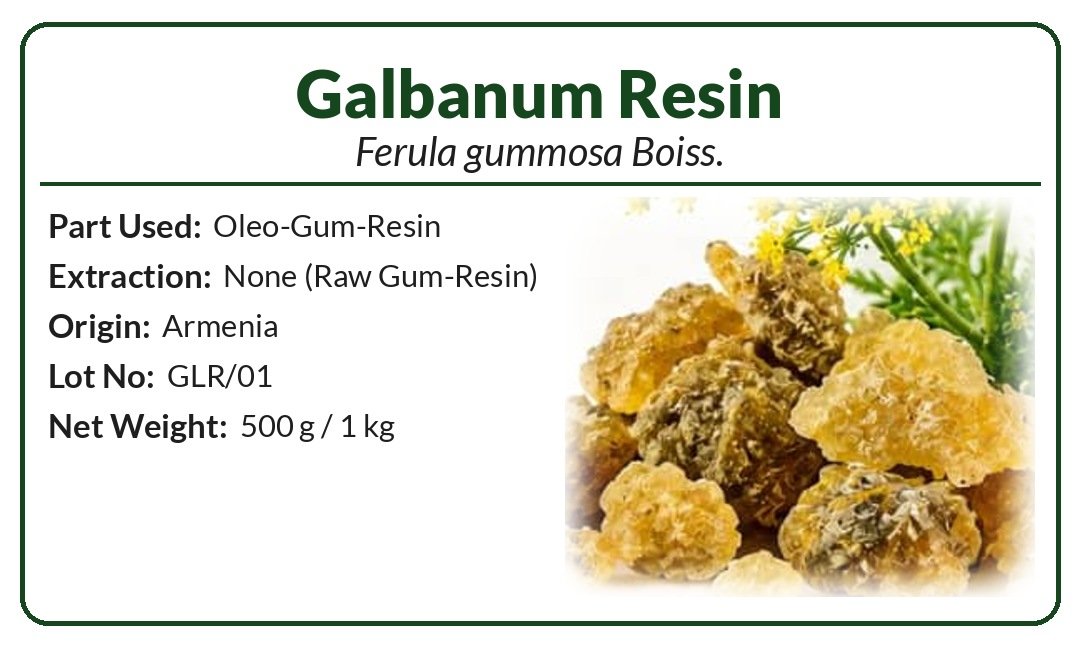Galbanum Resin (Ferula gummosa Boiss.) product image (2)