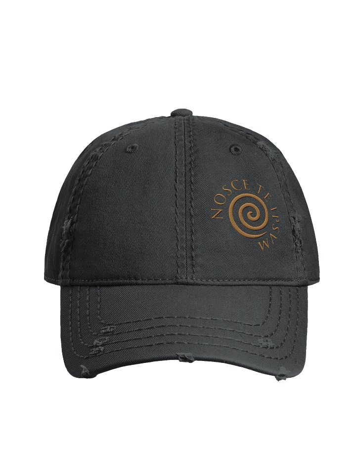 Frank Santo & The Visionmakers — "Nosce Te Ipsum" Cap · Distressed product image (2)