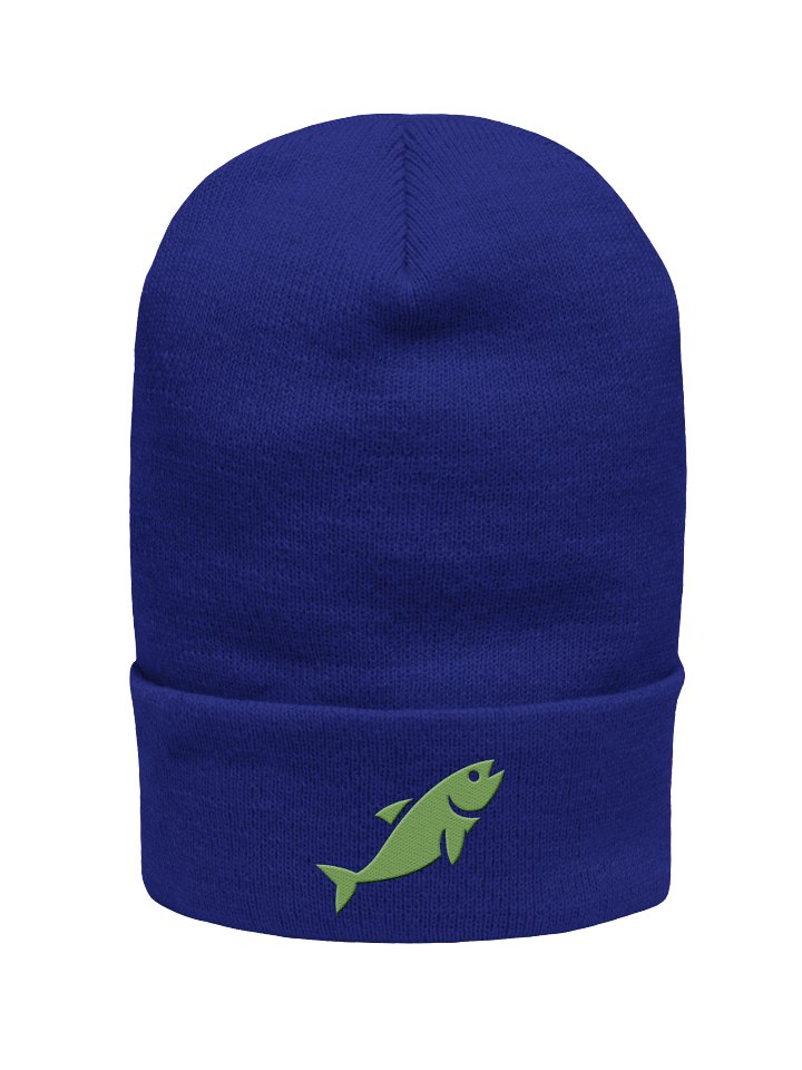 Embroidered Beanie product image (16)