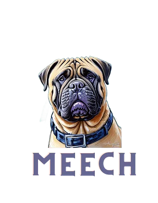 Meech