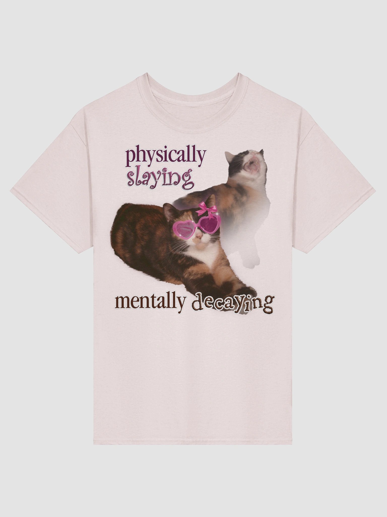 Physically Slaying Mentally Decaying - Cat T-shirt product image (2)