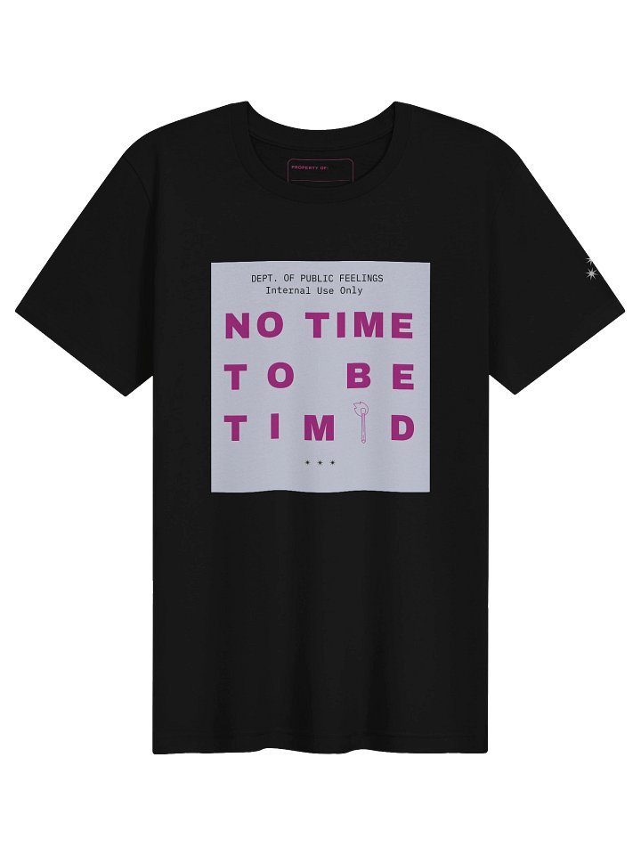 No Time to Be Timid — Internal Use Only Tee product image (1)
