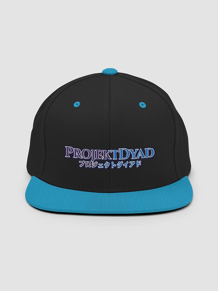 Projektdyad Snapback Hat product image (2)