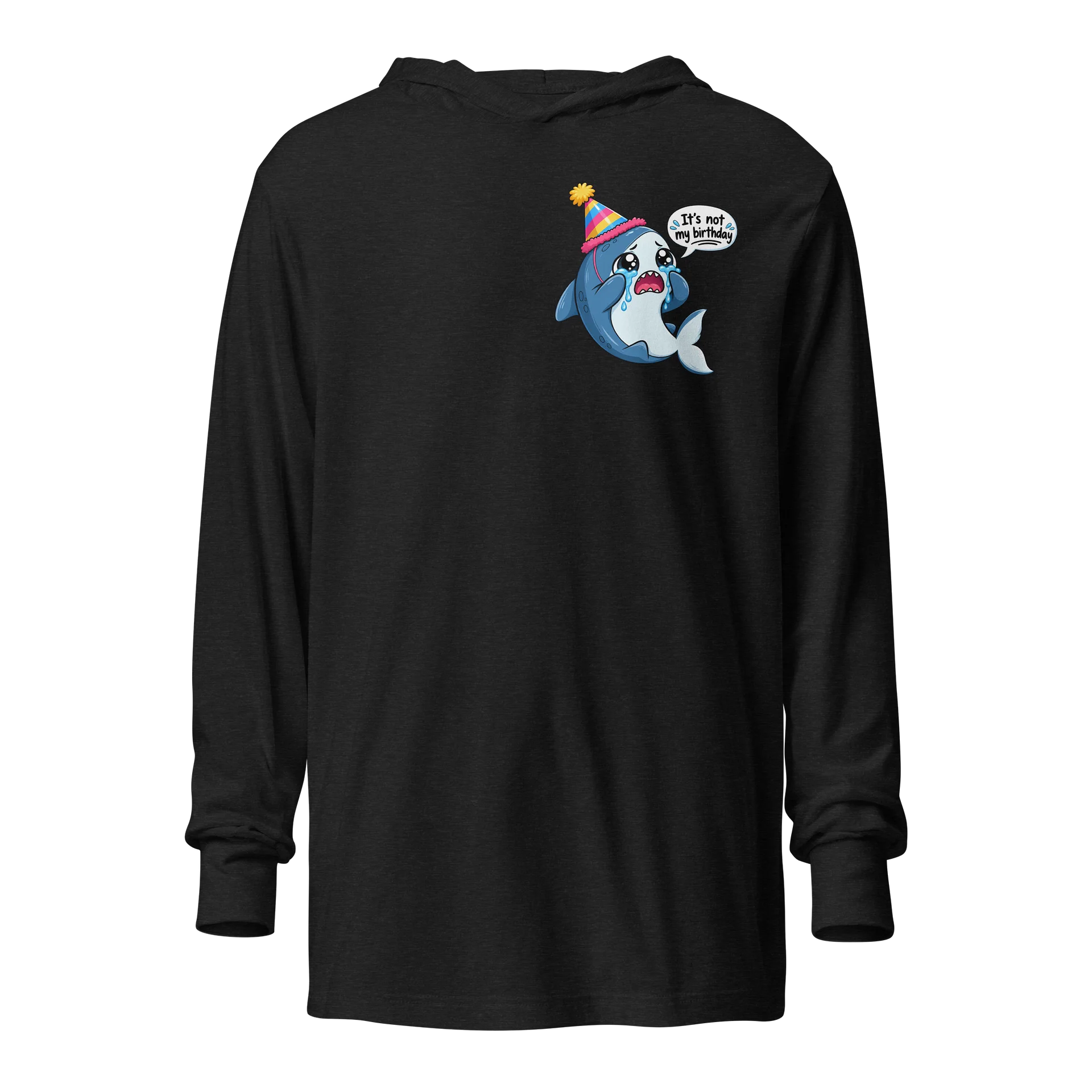 NOT MY BIRTHDAY HOODIE product image (2)