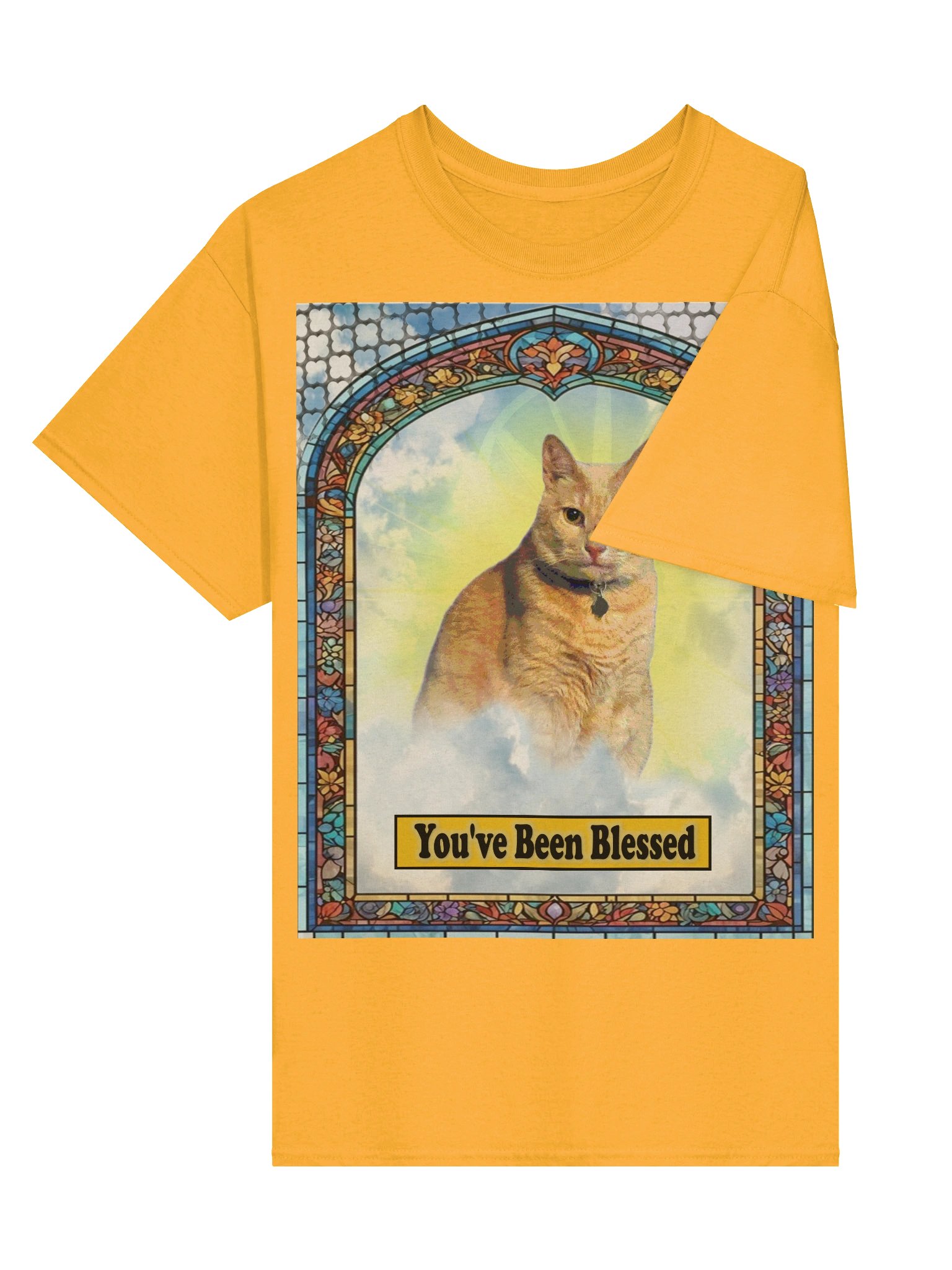 You've Been Blessed T-SHIRT (Front ONLY) product image (27)