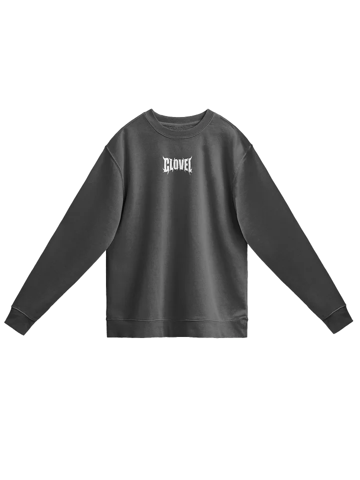 YOU ONLY DIE ONCE - Sweater product image (1)