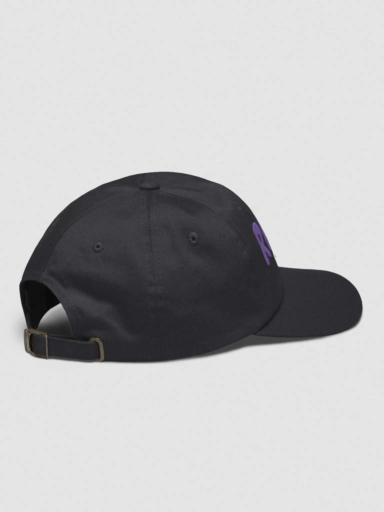 Raven Baseball Cap product image (4)