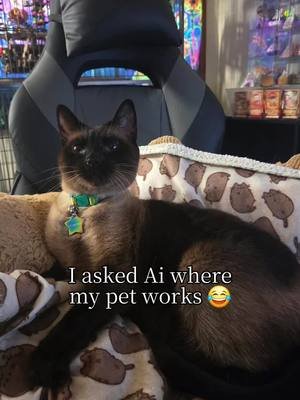 #CapCut #ai #cat 