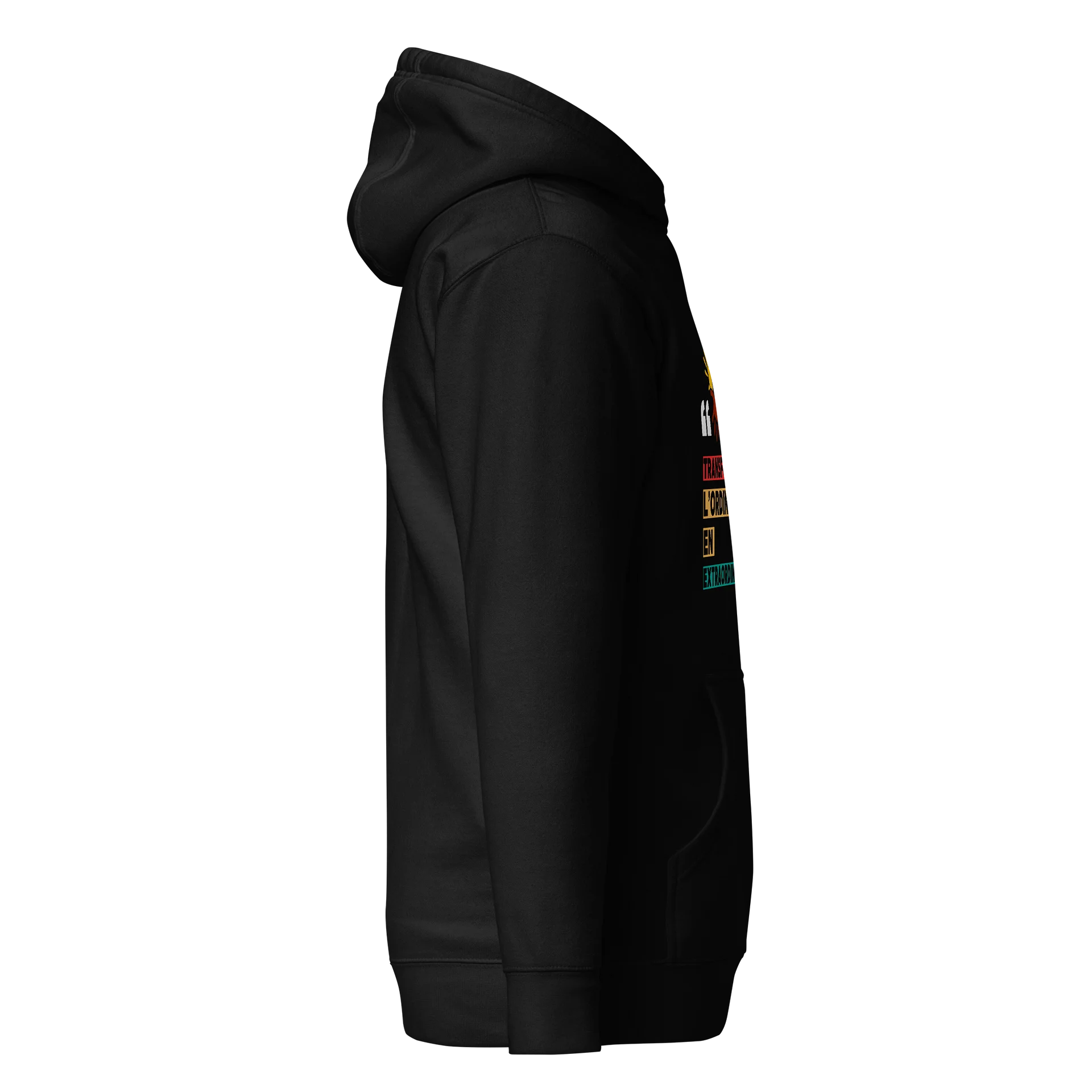 Transformons l’Ordinaire Hoodie product image (3)