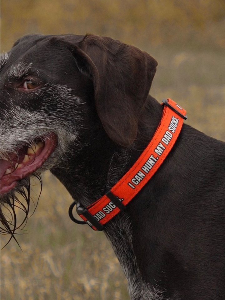 "I Can Hunt. My Dad Sucks." Dog Collar product image (3)