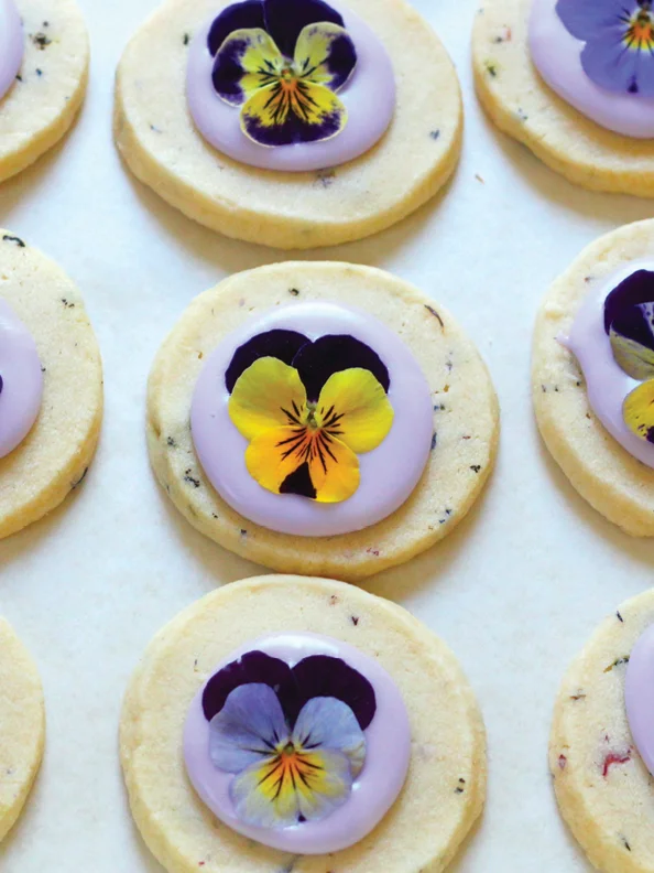 The Biscuit Eater Digital Cookbook: In The Garden product image (10)