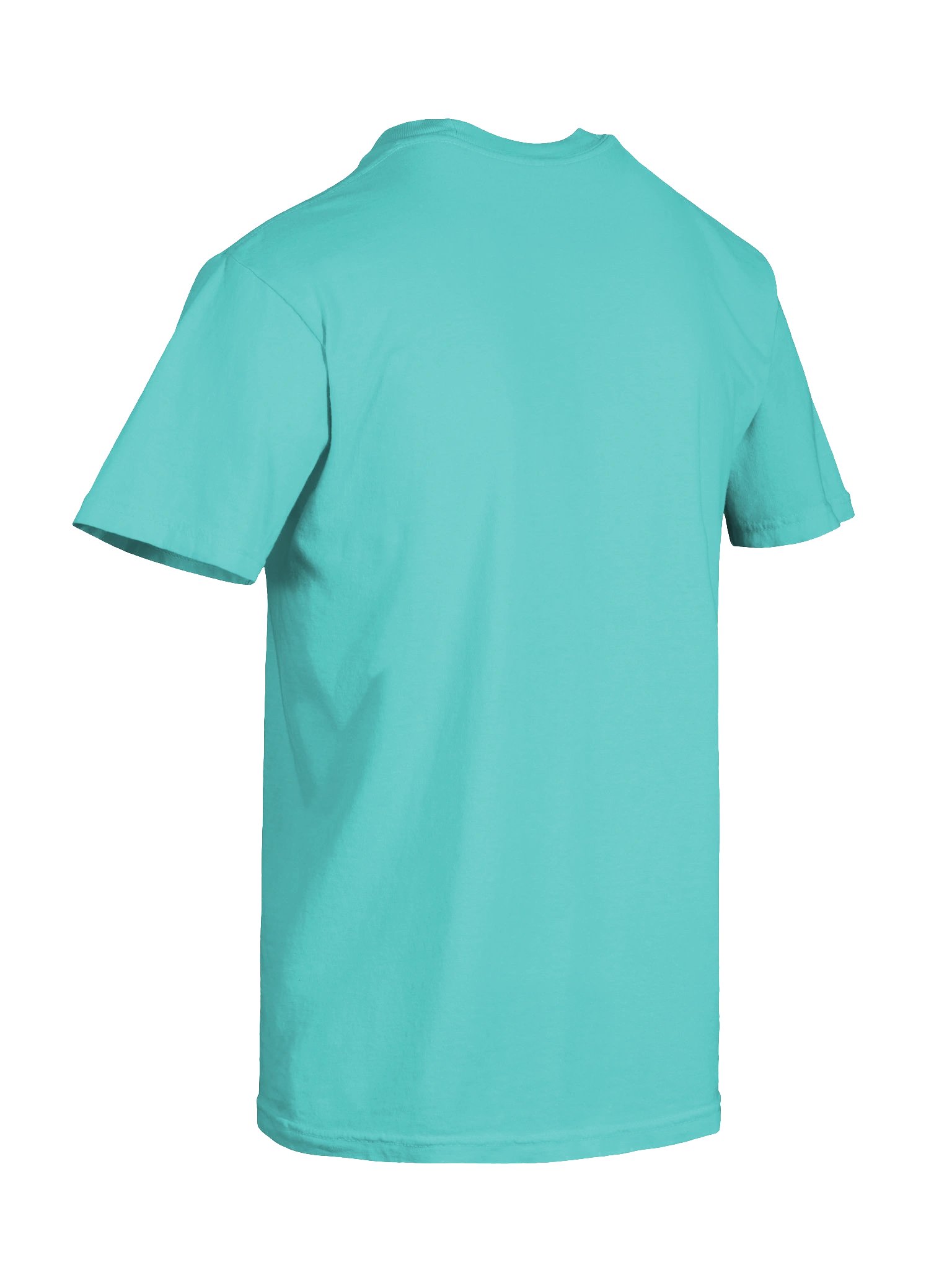 The Warrior Within – Mibu Gang Tee product image (30)