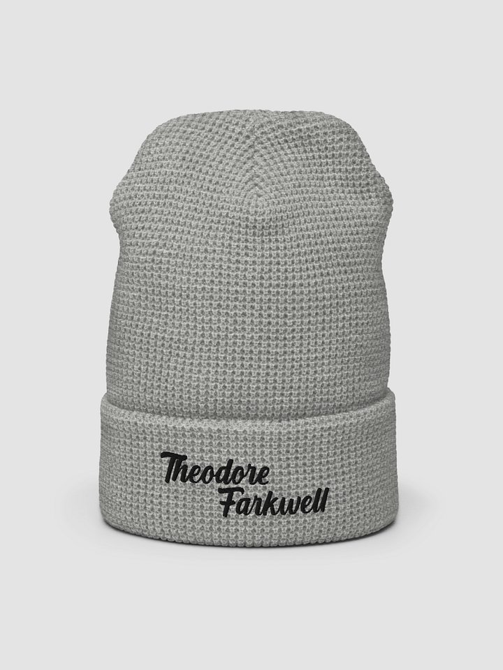THEODORE FARKWELL BEANIE product image (2)