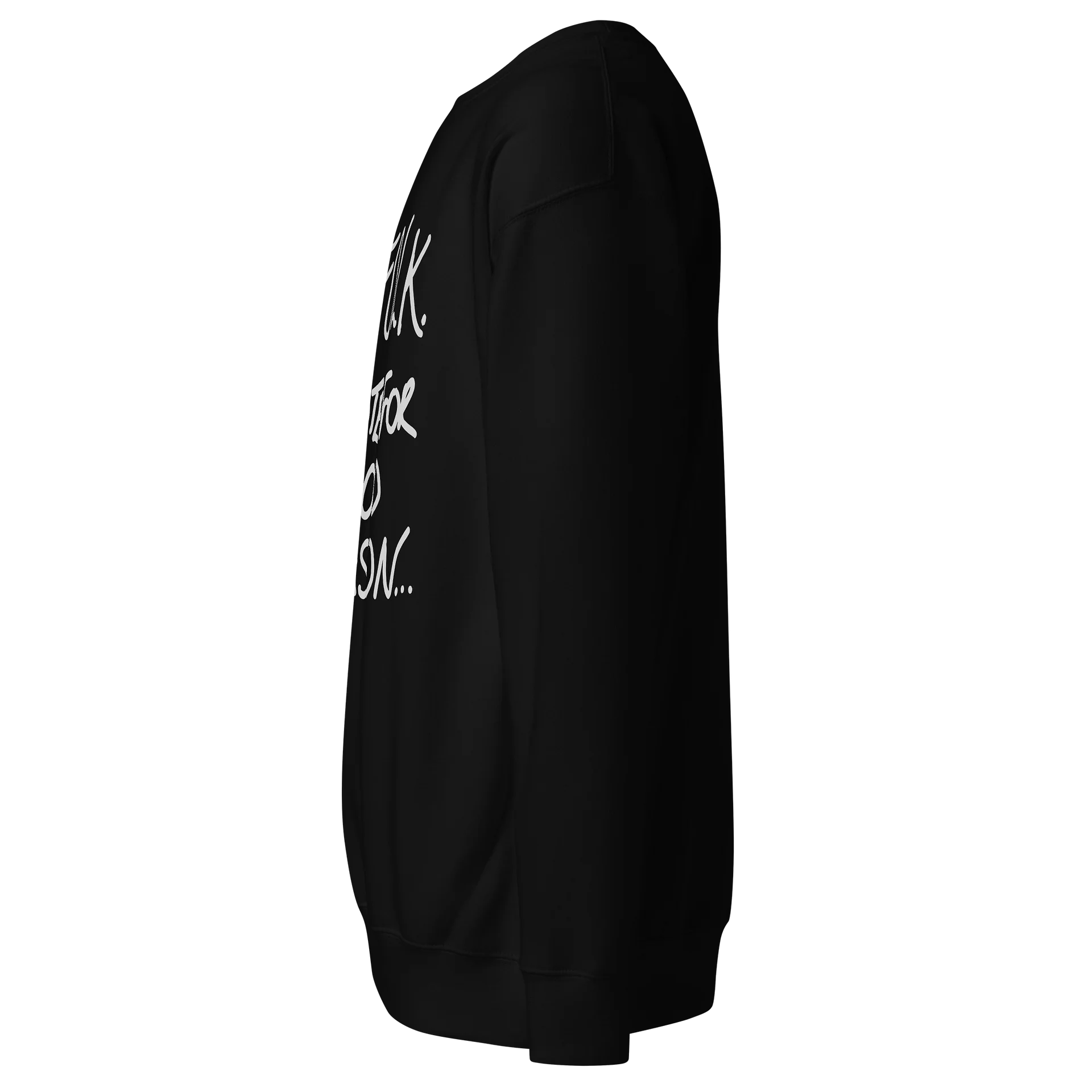 Norfolk. Remote for Good Reason. Premium Sweatshirt product image (1)