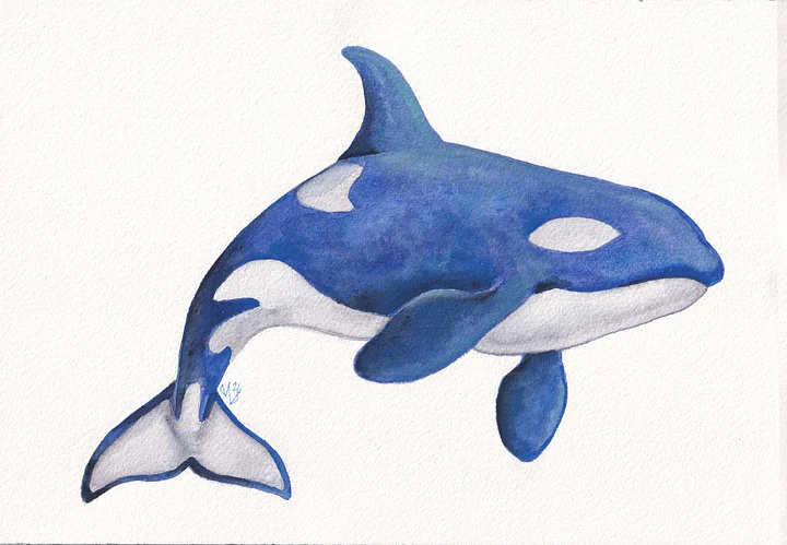 Blue Granulating Orca product image (1)