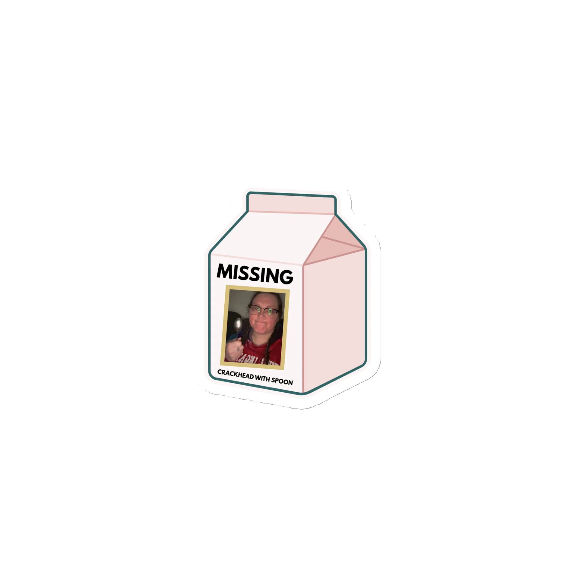 Missing Milk Carton Magnets product image (1)