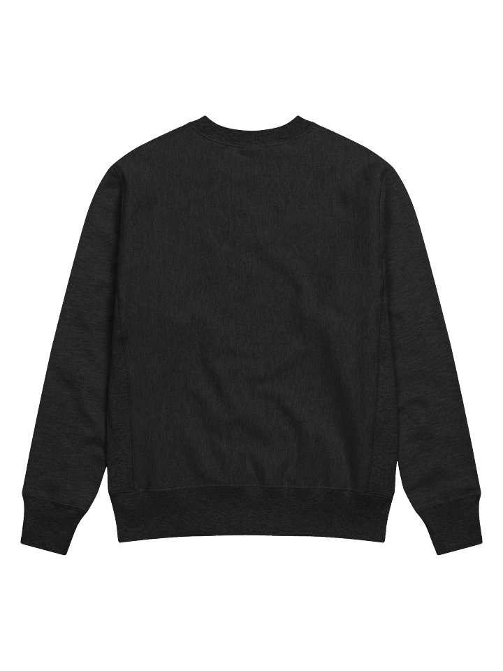 Sweatshirt product image (2)