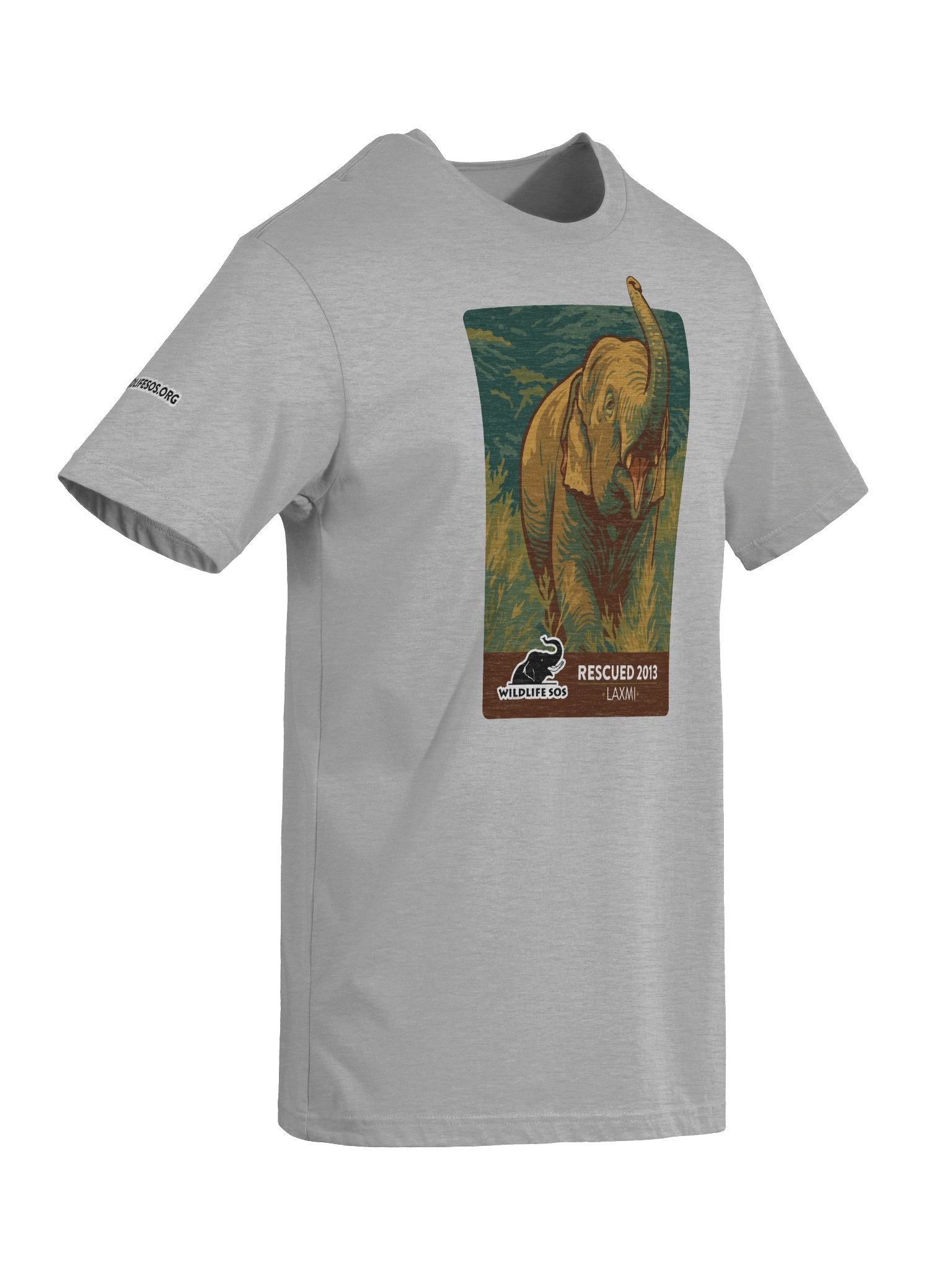 Laxmi - Rescued 2013! product image (34)