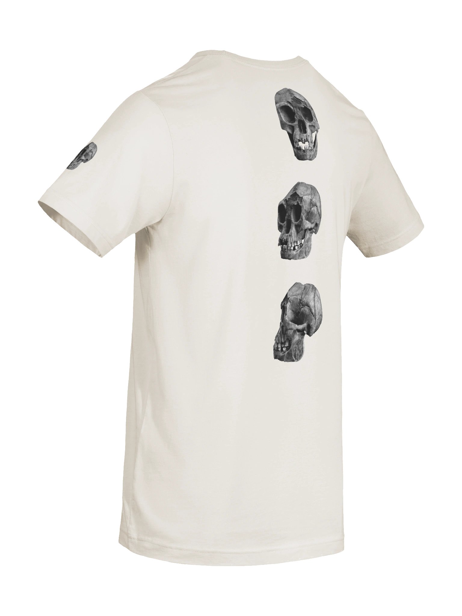 Floresiensis Fossil Skull T-Shirt Light product image (8)