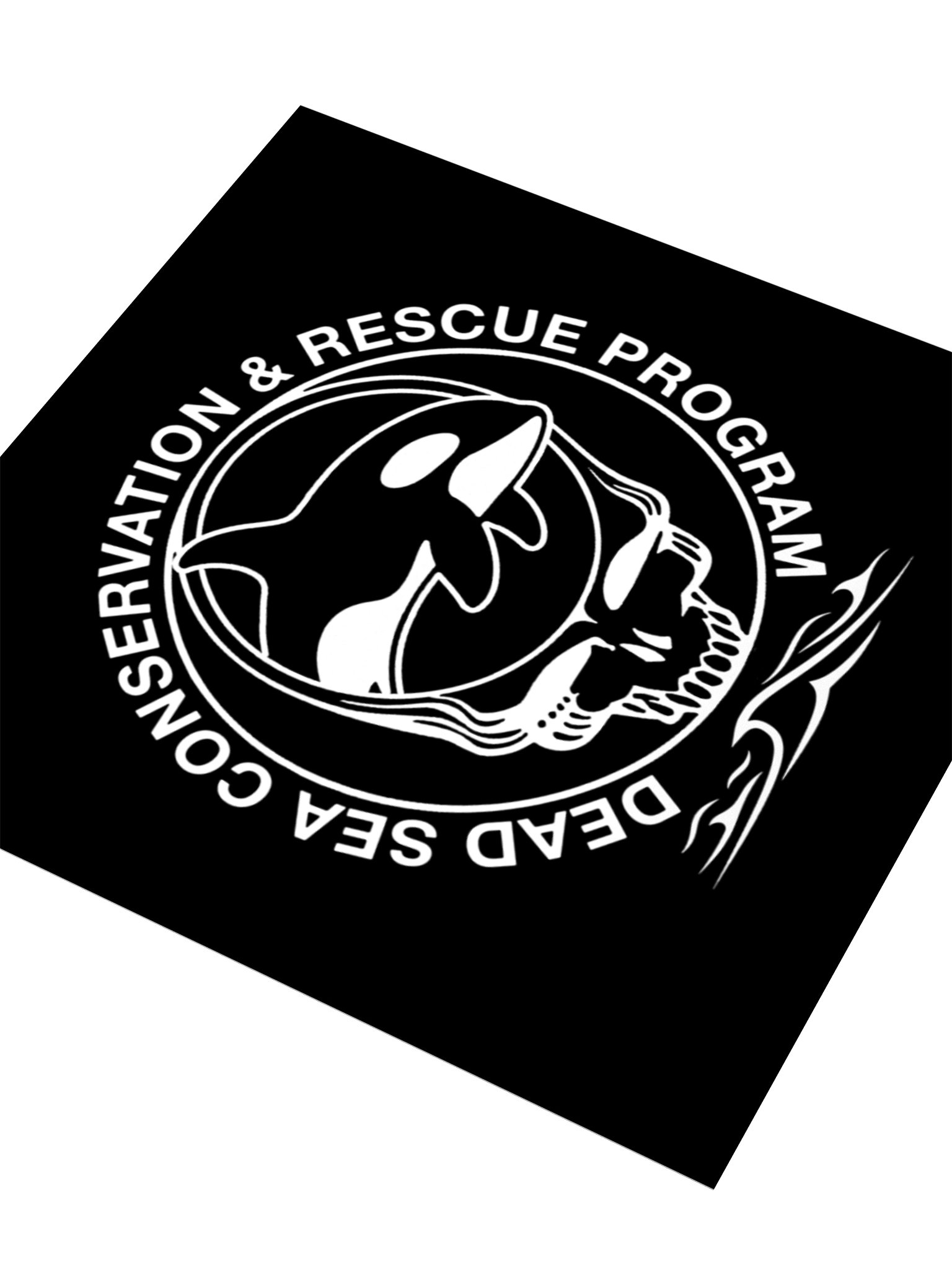 ORCA CONSERVATION STICKER product image (3)