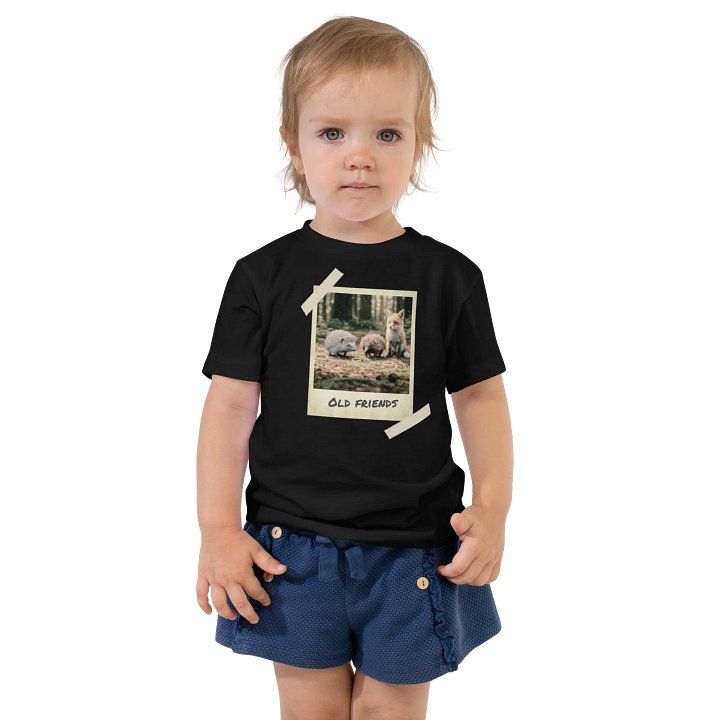 Old Friends - Hedgehog, Echidna and Fox, Polaroid Photo Shirt product image (1)