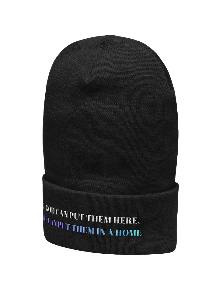 IF GOD CAN PUT THEM HERE, WE CAN PUT THEM IN A HOME BEANIE product image (2)