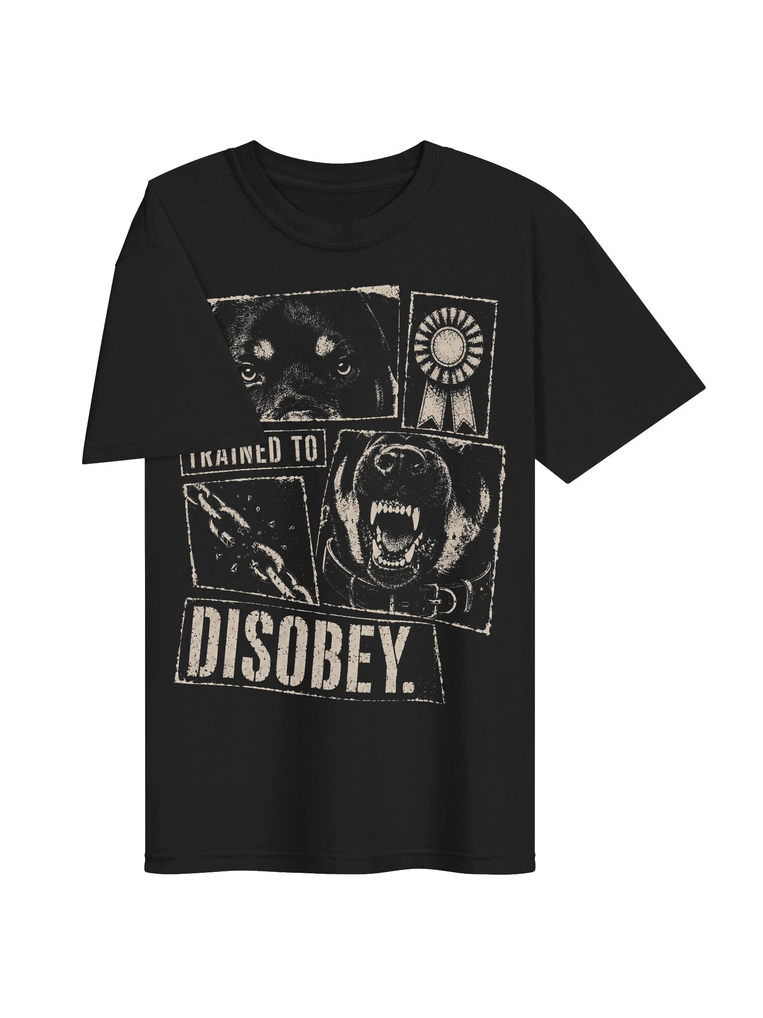 Trained to Disobey Heavyweight Vintage Graphic Tee product image (3)