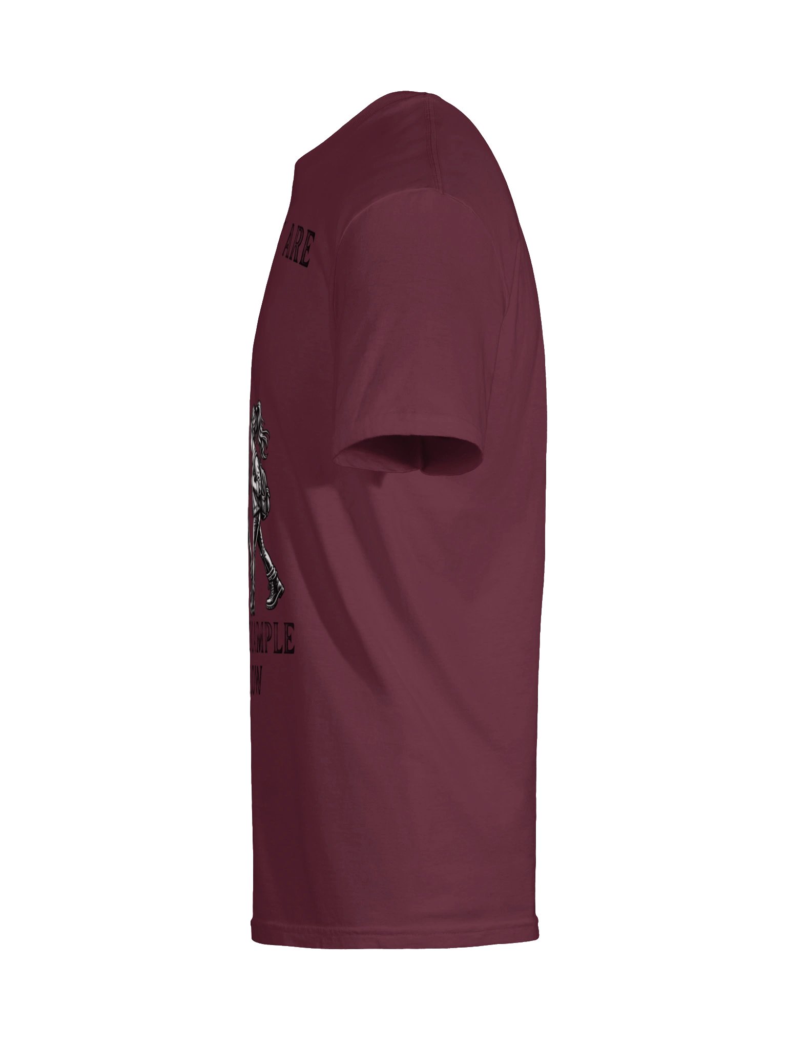 The Example They Follow Tee | 1 Corinthians 11:1 product image (29)