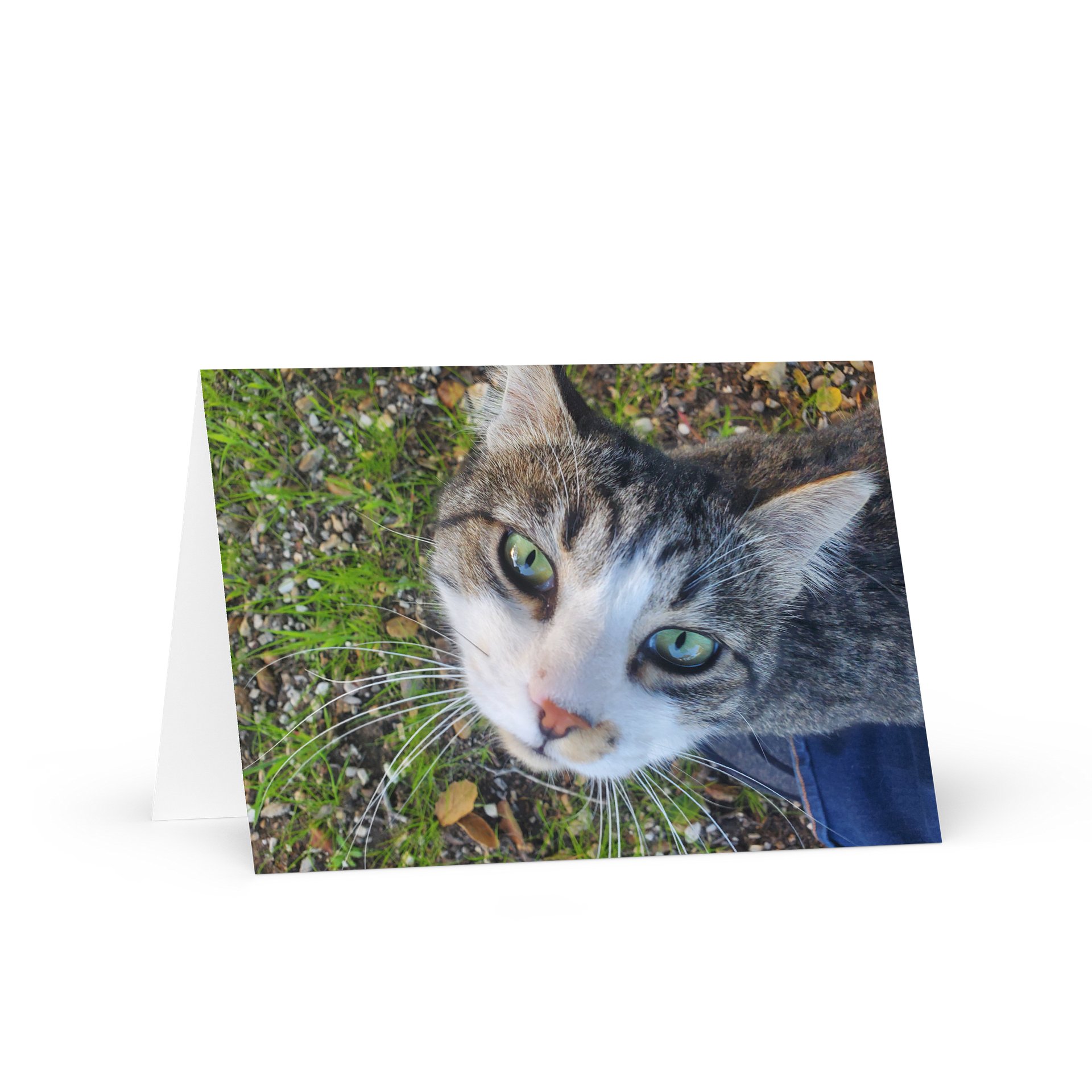 Banjo Says HELLO! product image (1)