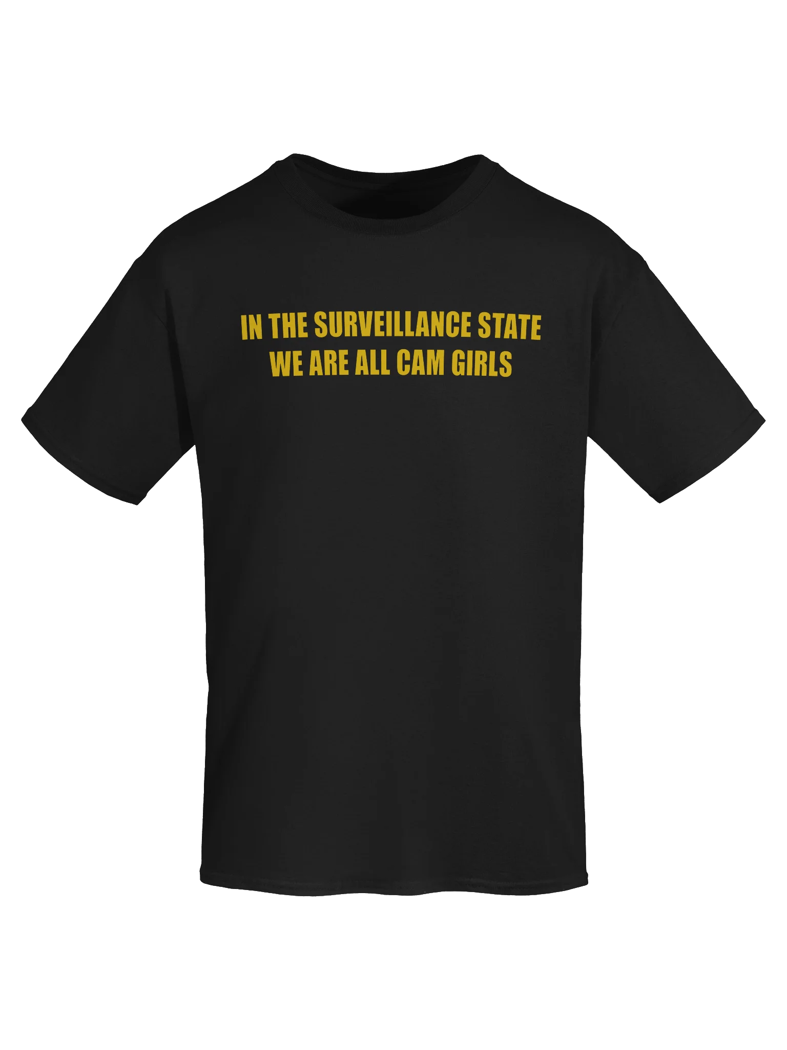 IN THE SURVEILLANCE STATE WE ARE ALL CAM GIRLS product image (56)