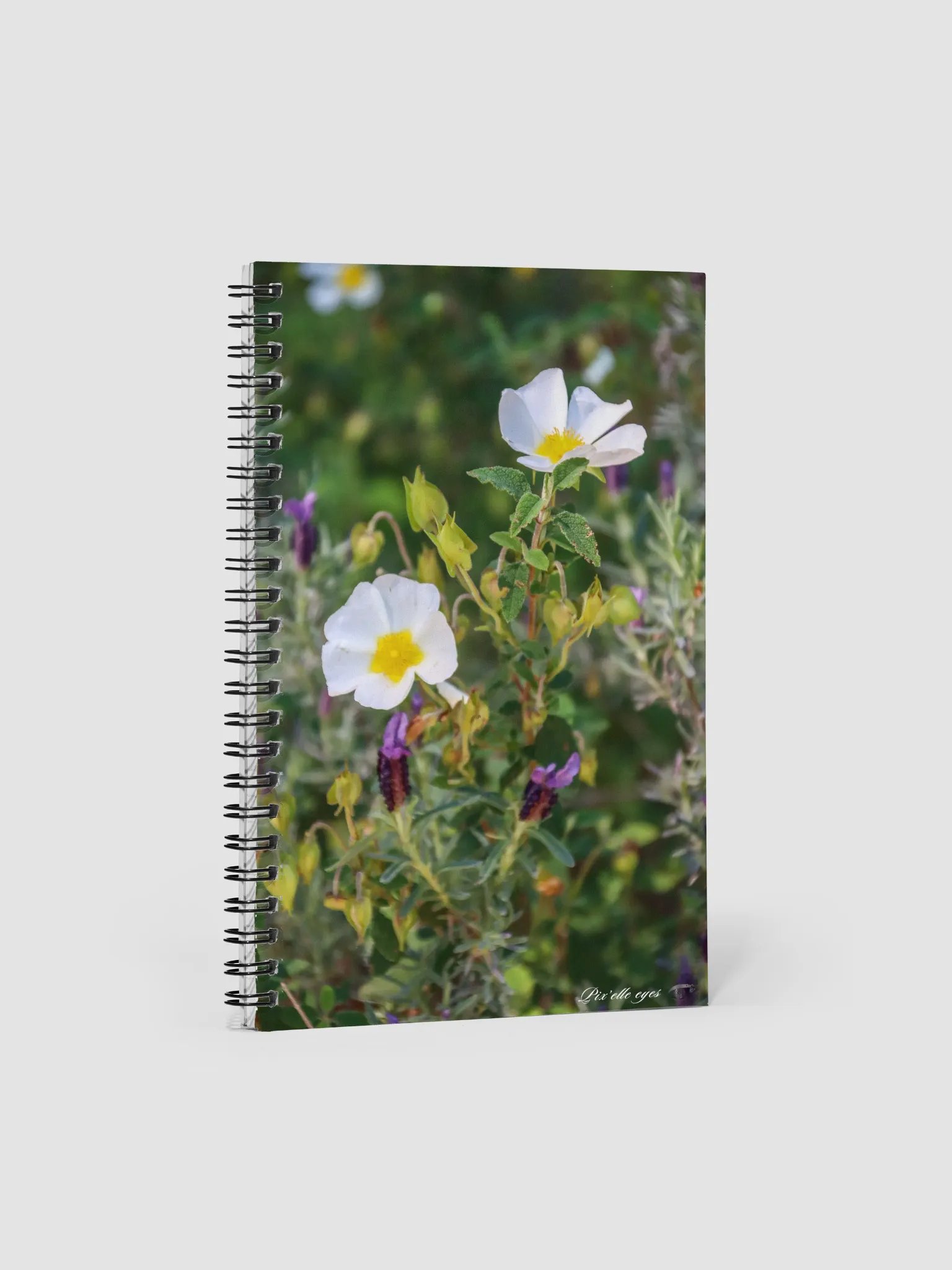 📘 Notebook Collection PURE – Jardin du Rayol – Couleur de Provence product image (1)