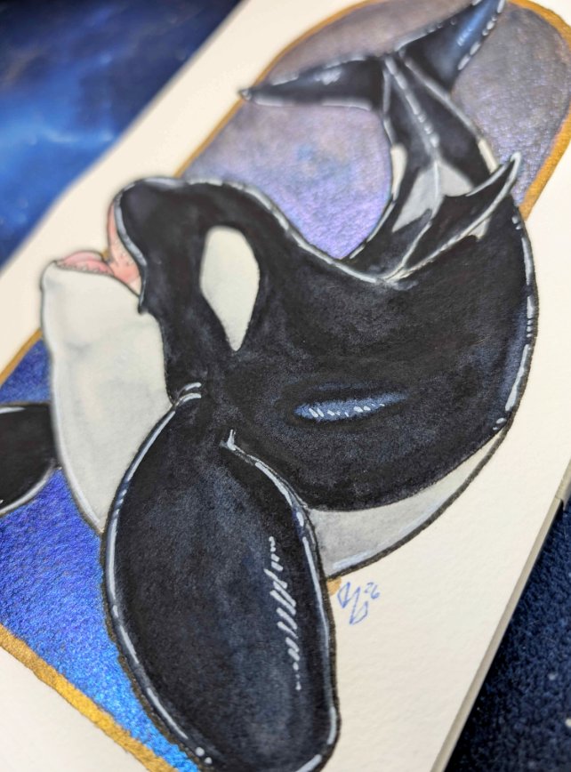 Orca Blue & Gold product image (2)