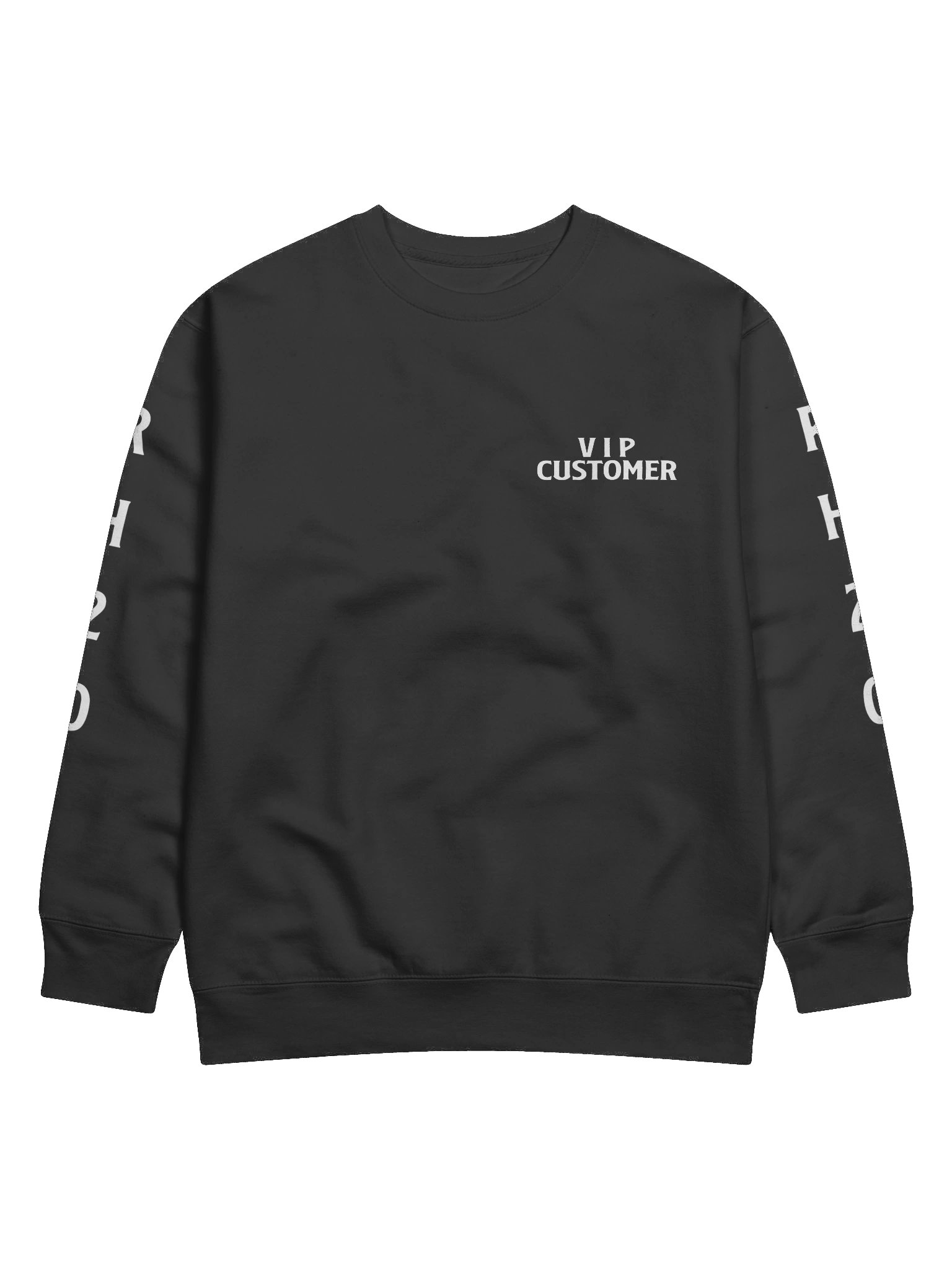 RH2O VIP Customer Sweatshirt product image (71)