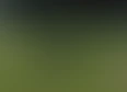 Chiefs's tag thumbnail