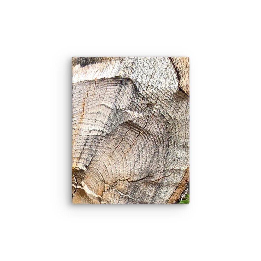 Tree Rings Thin Canvas Print product image (8)