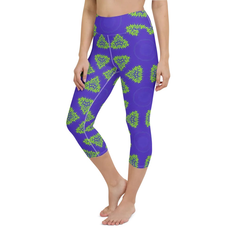 Shape Spectrum Capri Leggings product image (12)