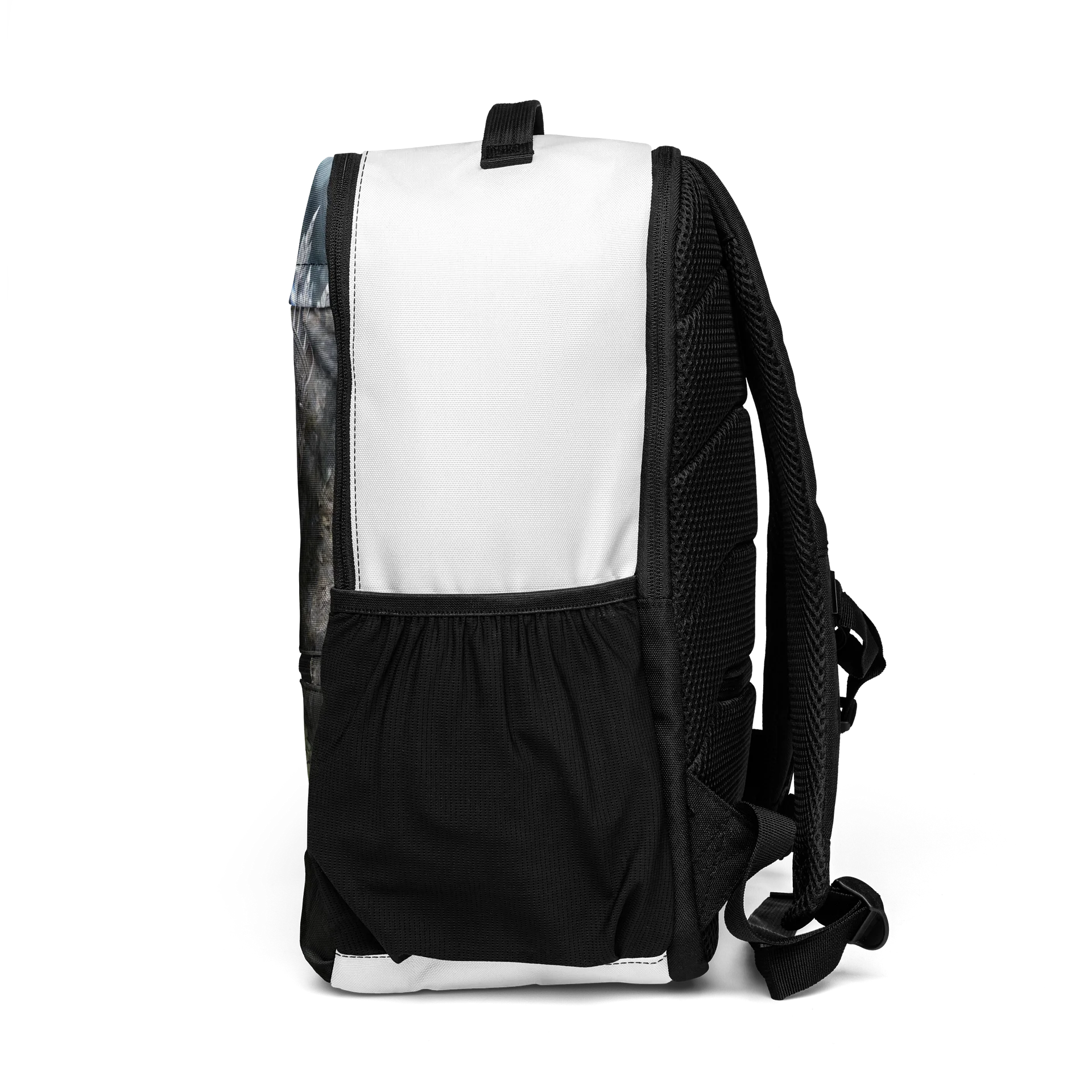Quiver of the Rose Scholar product image (4)